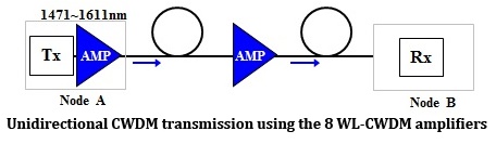 Combination of booster and in-line amplifier