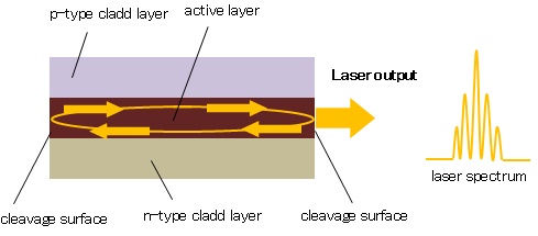 about-LD2