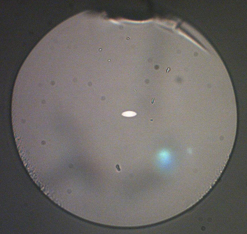 Cross section of elliptical-core PM ZBLAN fiber