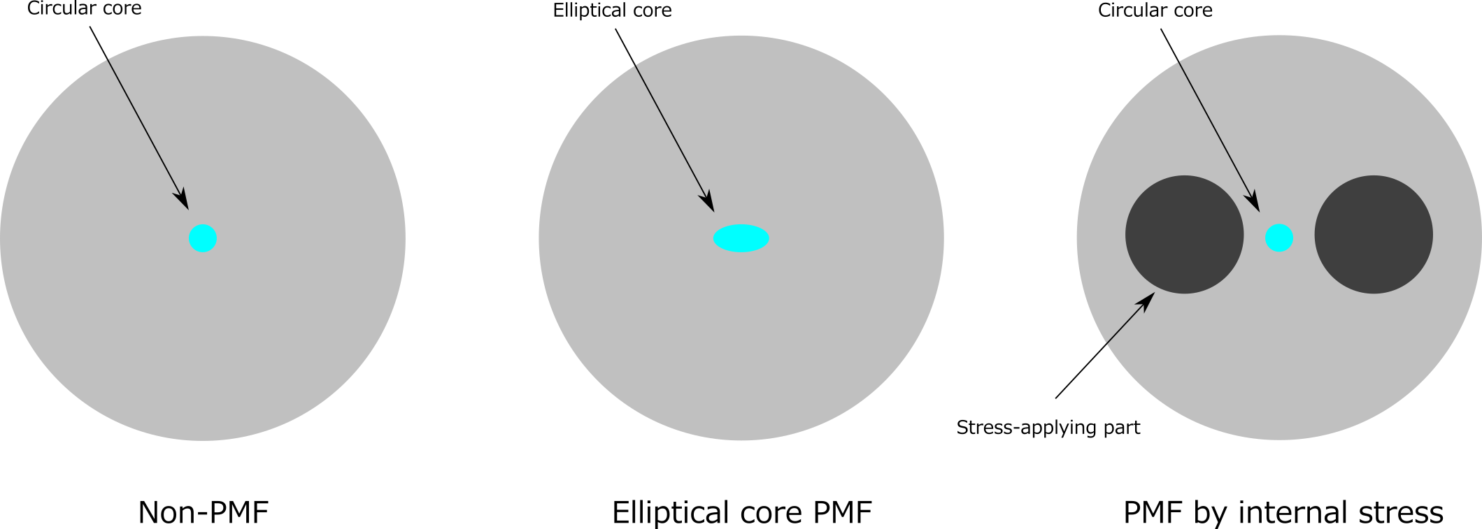 Non-PM fiber and different types of PM fibers